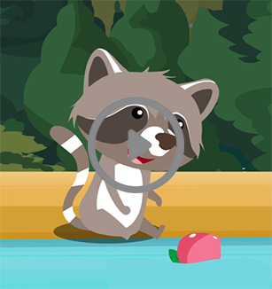 科学博士讲解浣熊与小熊猫的区别