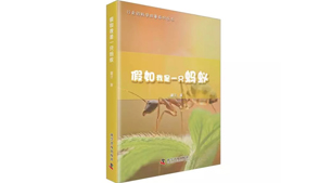 《假如我是一只蚂蚁》