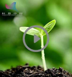 探究种子的力量