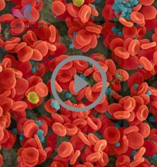 输血-救命or致命