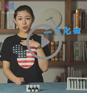 二氧化碳的制取