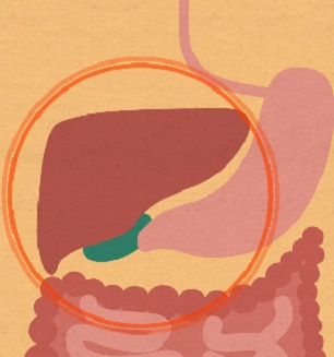 世界肝炎日：关于肝炎，这些常识要了解