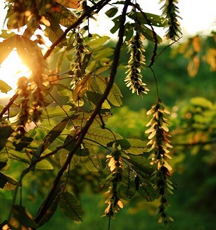 秋天来了，你贴秋膘了么？