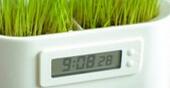 “植物电池”：纯天然的植物能源