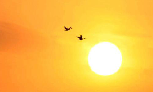 你了解太阳所产生的巨大能量吗？