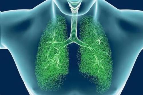 终结结核流行 自由健康呼吸
