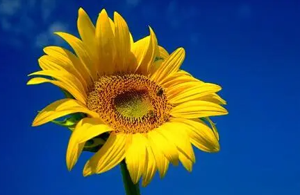 成为“抠像明星”，你只差这一步