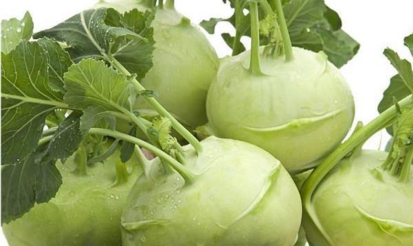 你知道苤蓝吗？