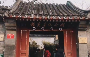 "梅兰迎春"画展亮相