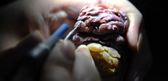 比拼寿山石雕刻技艺