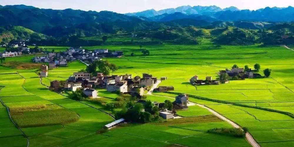 周其仁：激发乡村振兴的潜力，应着眼于整个国民经济