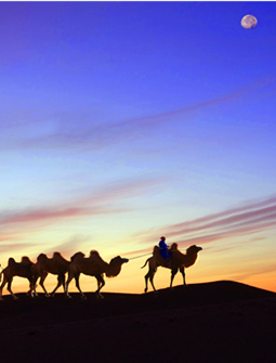 丝路基金的“五个Ｗ和一个Ｈ”