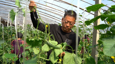 点亮自强自立&ldquo;心灯&rdquo;！听听这些残疾人的创业就业故事