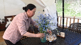 年过半百回乡创业 她助力古村落焕发新活力