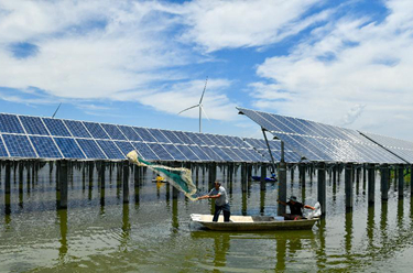 光伏鱼塘上奏响绿电&ldquo;渔光曲&rdquo;