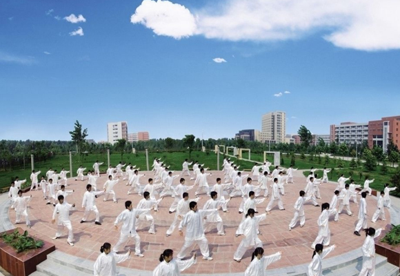 全民全运(55)|全运百科⑱：武侠小说里风生水起的太极拳，在中国主要有这五大流派