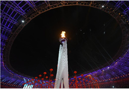 初生牛犊不怕虎，十三运上这十大新星你都了解吗？