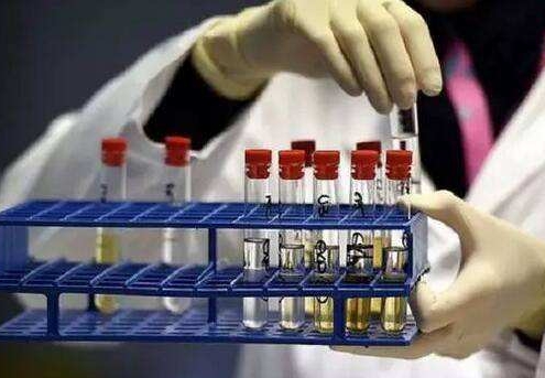 业余马拉松选手涉药引发警示，田协酝酿加大严打力度