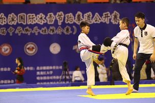 &ldquo;中华脚斗娃&rdquo;首次亮相哈尔滨国际冰雪节