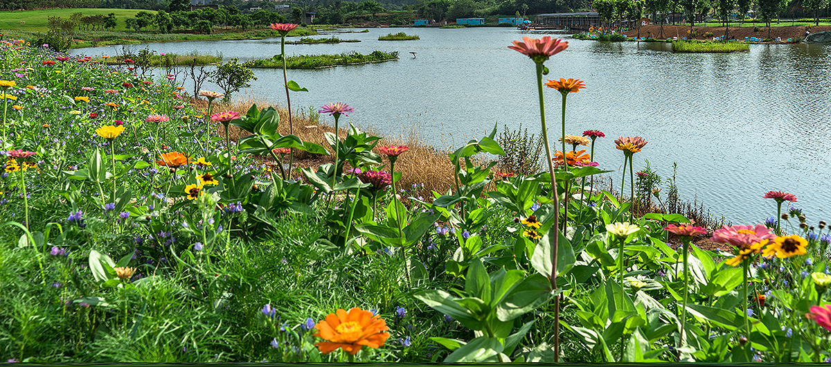 天府新区展示：美丽柏杨湖