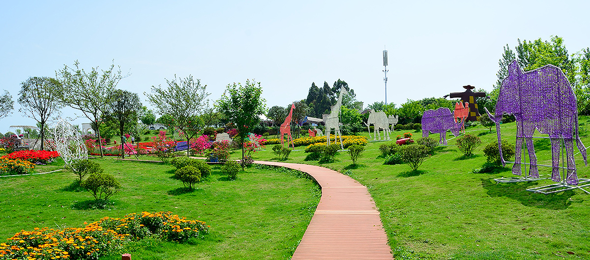 天府新区展示：香薰山谷