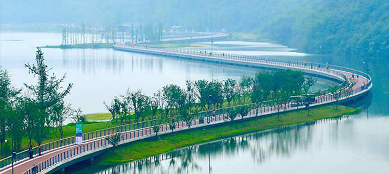 天府半马(46)|在现场：10张大片告诉你！什么是真正的公园城市马拉松