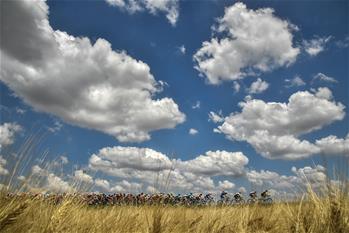 环法首日，首个赛段加维里亚夺得冠军