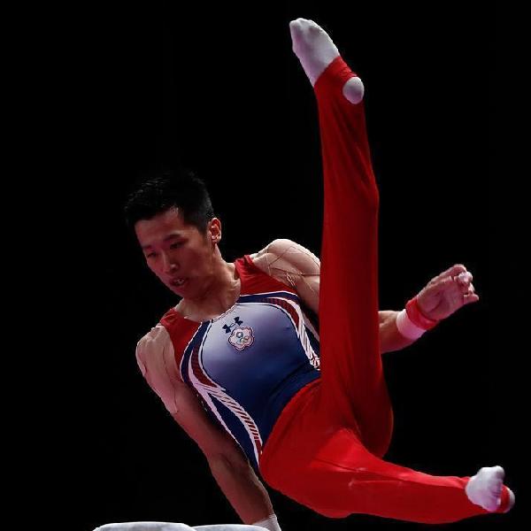 中国台北选手李智凯获男子鞍马金牌