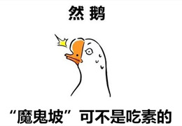 这位官方体验员，你大概是长在了我的笑点上