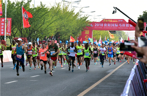 你必须了解的贵马