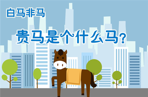 白马非马 贵马是个什么马？