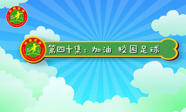 汪星撞足球㊵|加油，足球少年！