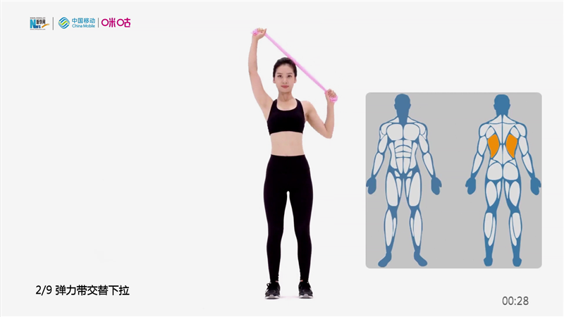 第7集 弹力带背部入门
