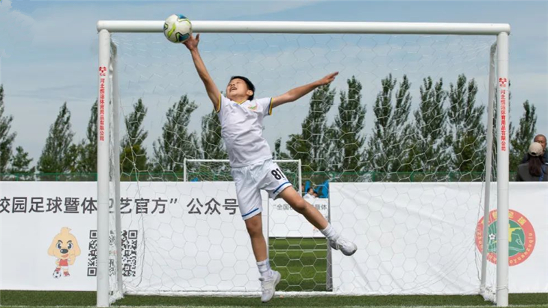 营区掠影 | 各组别24日精彩掠影