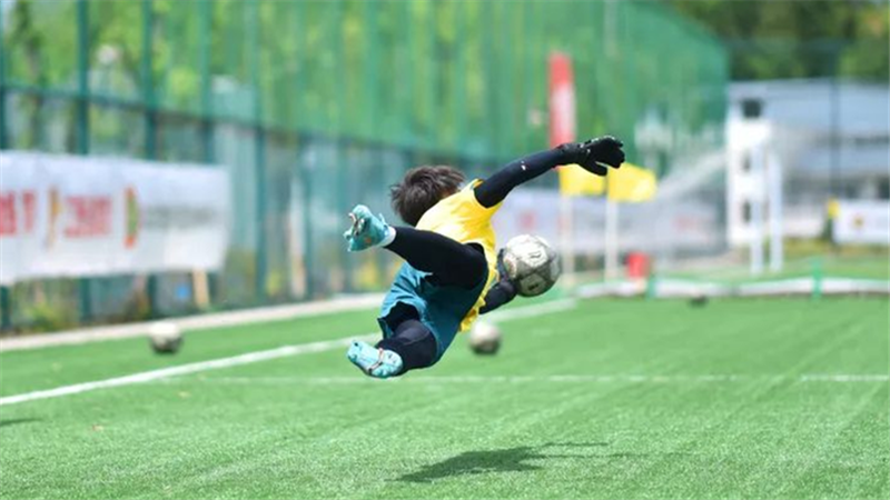 营区掠影 | 哈尔滨营区、沈阳营区和梅州营区掠影