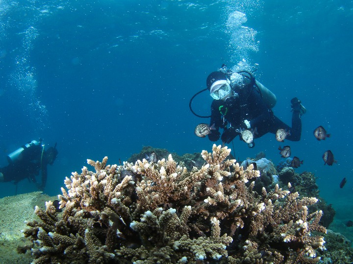 追光丨这项运动，可以划水但禁止摸鱼