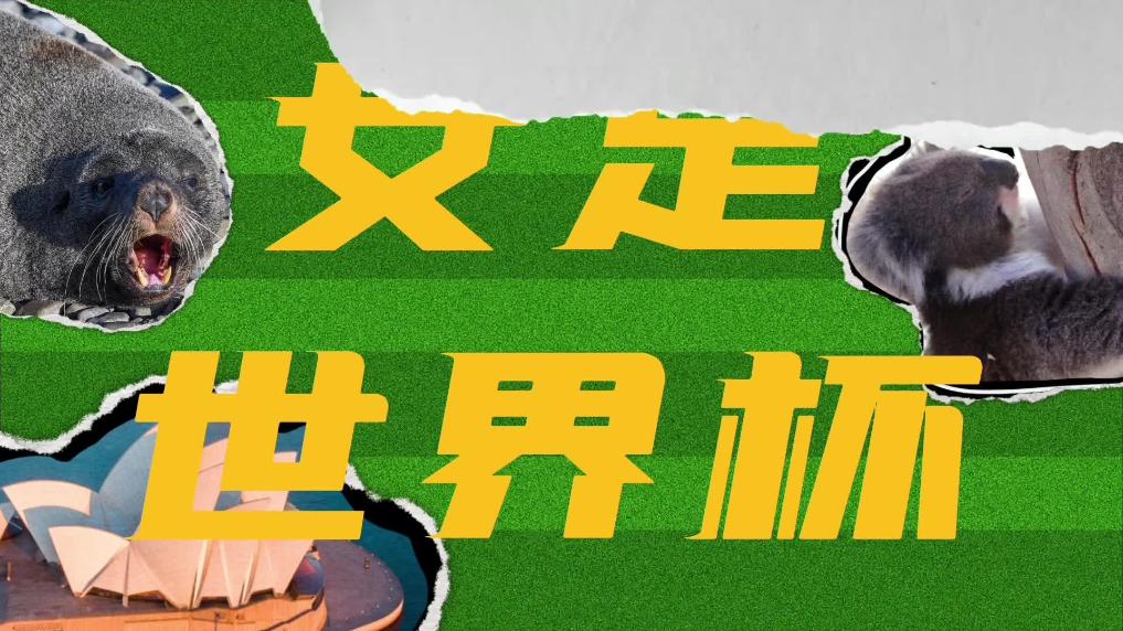 女足世界杯丨女足日记&middot;她们为何如此热爱足球？