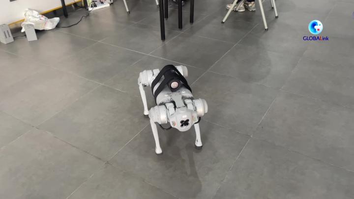 全球连线｜&ldquo;机器汪汪队&rdquo;奔赴亚运场馆开展工作