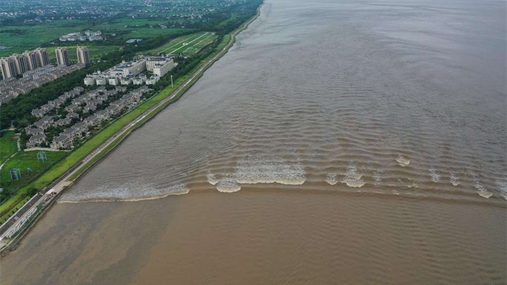 揭秘&ldquo;潮涌&rdquo;诞生：让世界为之澎湃&mdash;&mdash;杭州亚运会会徽解读之一