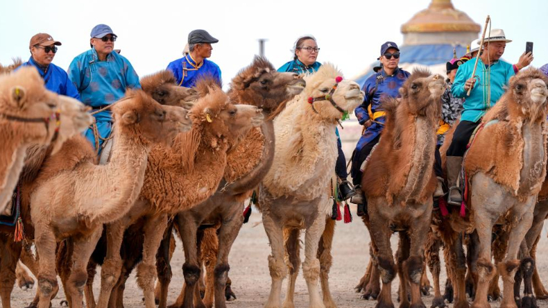 追光｜劳动节，可以劳动，也可以过节