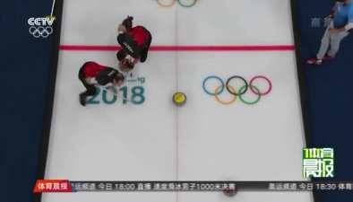瑞典队与美国队晋级男子冰壶决赛