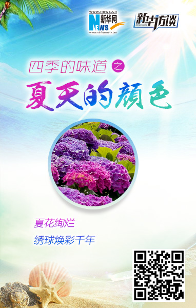 绣球：焕彩千年之夏