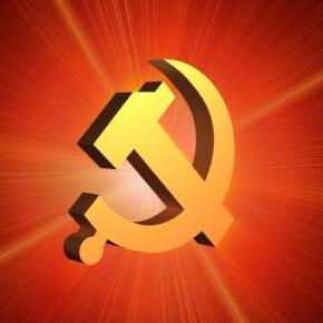 我是基层党代表