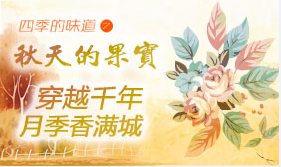 穿越千年 月季香满城