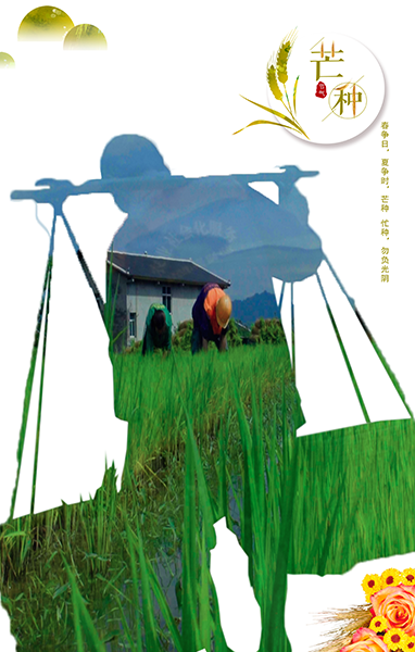 &ldquo;忙种&rdquo; 勿负光阴