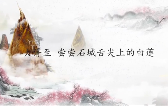 江西石城：大暑至 尝尝舌尖上的白莲