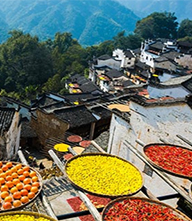 【乡村振兴】邂逅风景里的人一一篁岭故事拾掇
