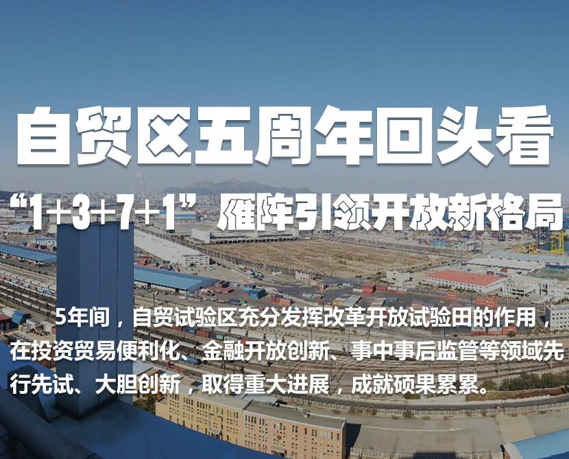 自贸区五周年