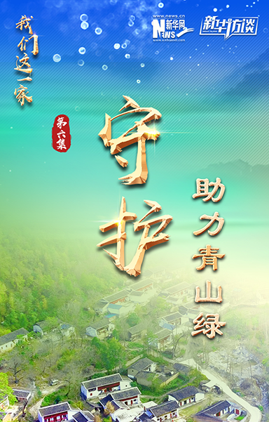 守护&middot;助力青山绿