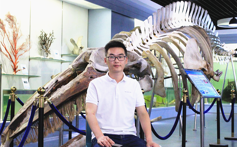 解析鲸豚多次搁浅浙江沿海原因及救援要求